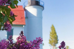 Kristina-Lishawa-lilacs-1